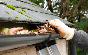 gutter cleaning Broad Meadow, Staffordshire