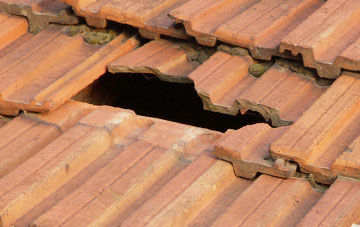 roof repair Broad Meadow, Staffordshire