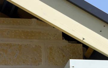 soffit repair Broad Meadow