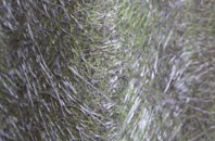 Broad Meadow fibreglass roof work